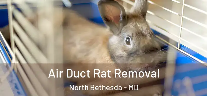  Air Duct Rat Removal North Bethesda - MD