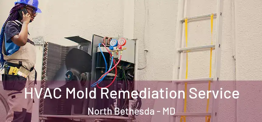  HVAC Mold Remediation Service North Bethesda - MD