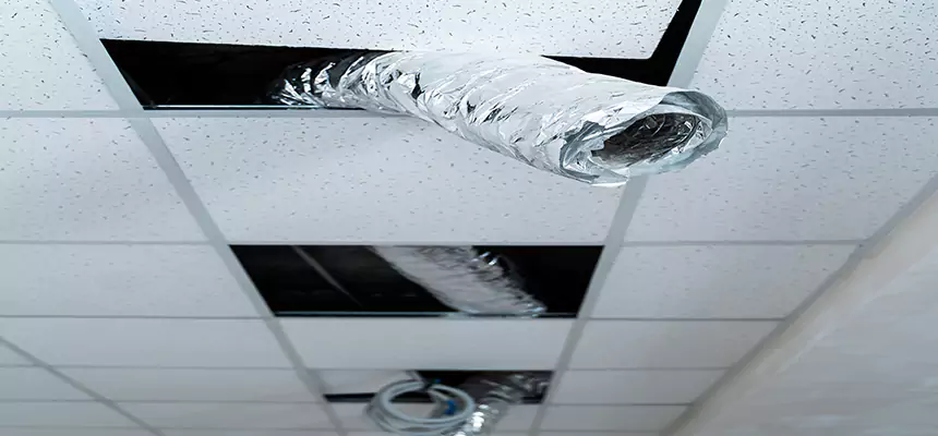 Our Air Duct Pet Hair Removal Services in North Bethesda, MD