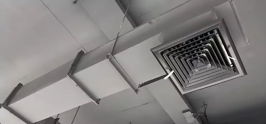 Our Rodent Droppings In Vents Services in North Bethesda, MD