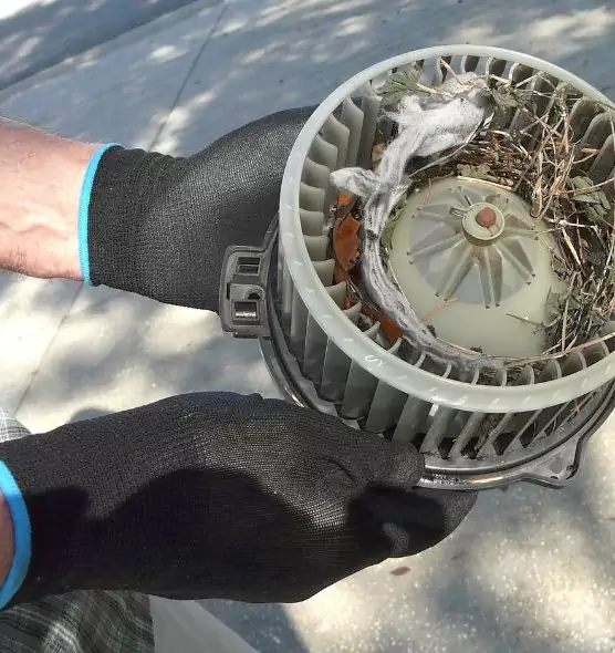 About Air Duct Mice Removal in North Bethesda, MD