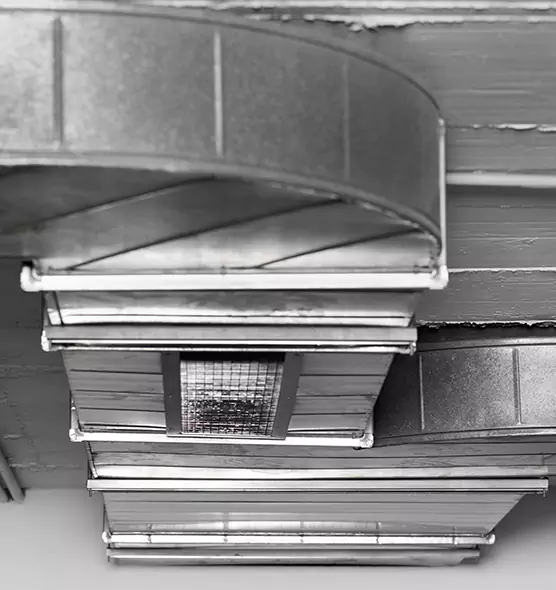 Professional Air Duct Pest Removal in North Bethesda, MD