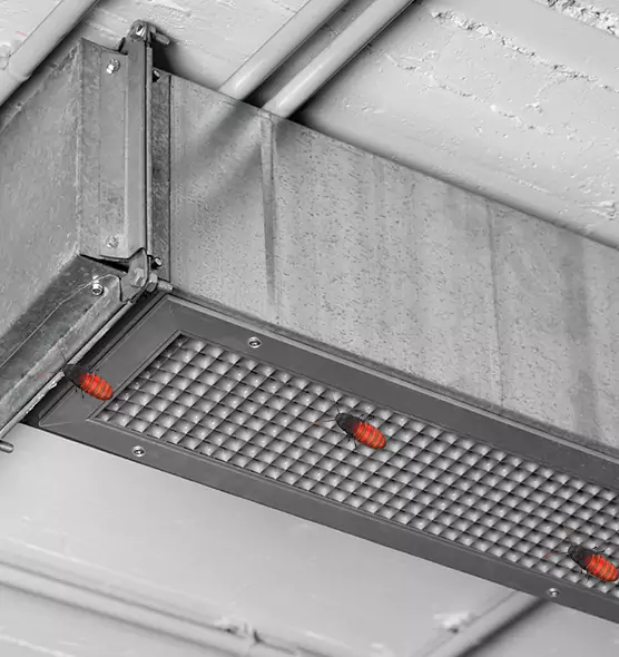 Affordable Insect Removal from Air Ducts in North Bethesda, MD